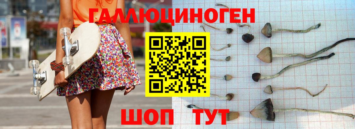 Ейск  Псилоцибиновые грибы ЛСД  Вход с VPN 