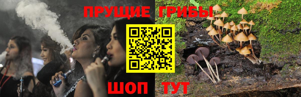 Галлюциногенные грибы прущие грибы Ейск